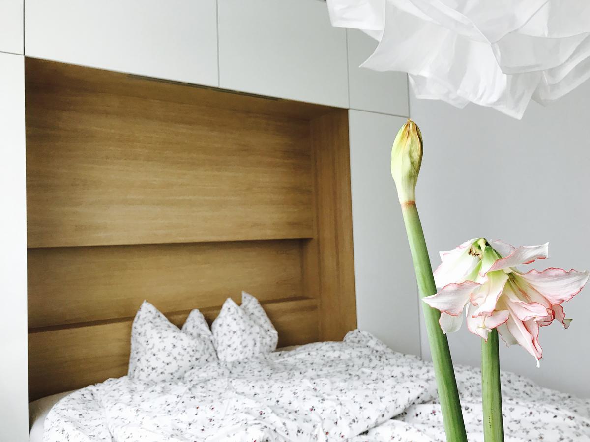 Design Apartment In Park Софія Екстер'єр фото