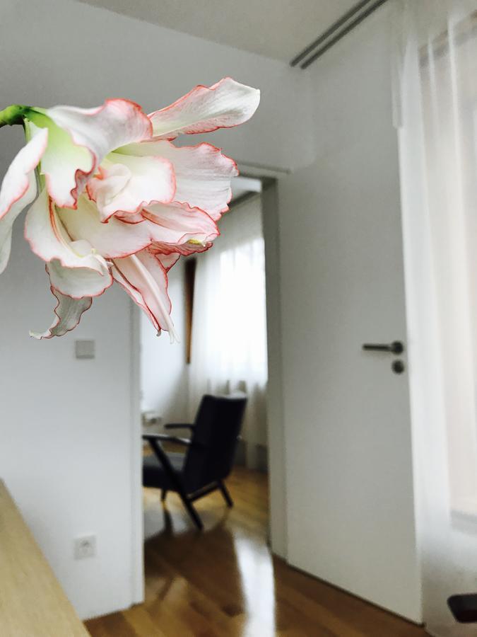 Design Apartment In Park Софія Екстер'єр фото